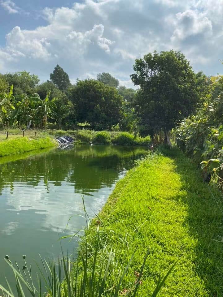 Los estanques del rancho con vista a los cerros